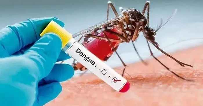 Qonşu ölkədə təhlükəli virus aşkarlandı ilk denge hadisəsi qeydə alındı
