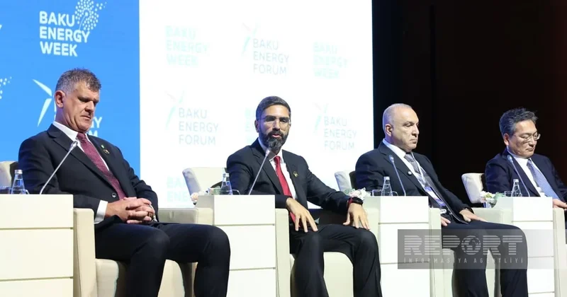 Наджаф: SOCAR оценивает новые проекты с точки зрения создания дополнительной стоимости
