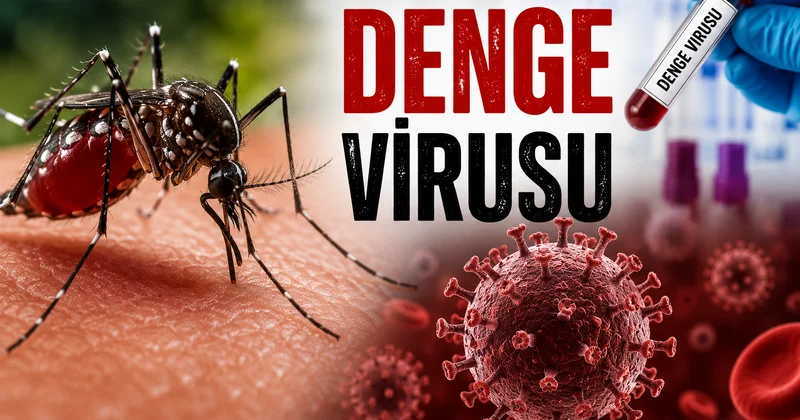 Denge virusu nədir və niyə təhlükəli sayılır? Araşdırma