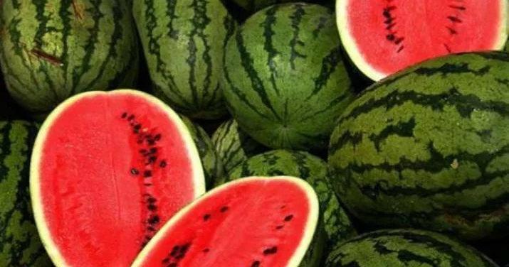 Qarpızda bunları görürsünüzsə, almayın! XƏBƏRDARLIQ