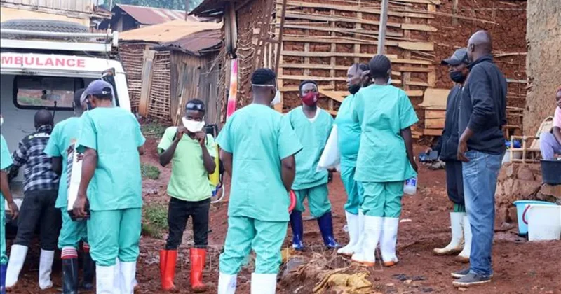 Konqoda Ebola virusuna yoluxanların sayı artır