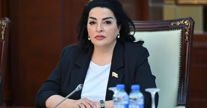 Azərbaycan yaşıl enerji gündəliyinin həyata keçirilməsində lider mövqelərdədir ŞƏRH