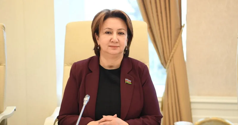 Avropanın enerji təhlükəsizliyi və Azərbaycanın dəyişməyən strateji rolu ŞƏRH