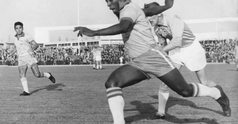 Pelenin 68 il əvvəlki forması hərraca çıxarılacaq