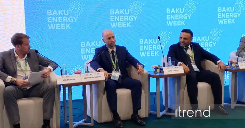 Bahar Energy назвал два ключевых условия успешной цифровой трансформации