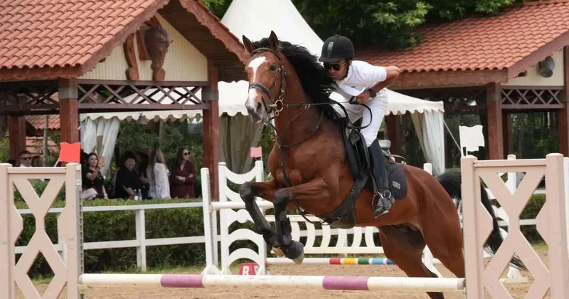 “Omar” Atçılıq Klubunda konkur yarışları keçirilib FOTO
