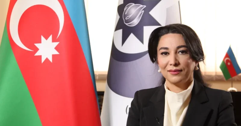 Ombudsman Səbinə Əliyeva növbəti vətəndaş qəbulu keçirdi