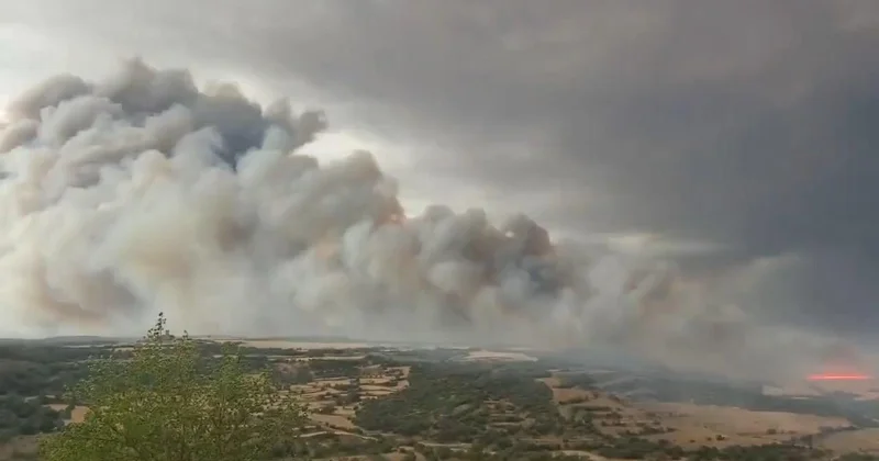 İspaniyada meşə yanğını: 2 ölü