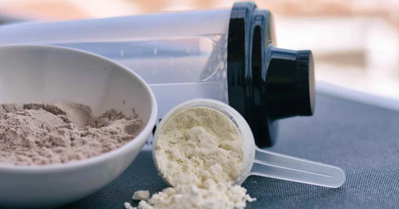 Protein tozları xərçəng riskini artırır