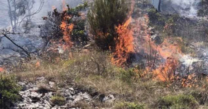 İtaliyada isti hava meşə yanğınlarına səbəb olub
