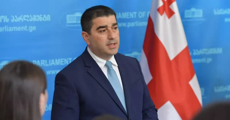 Папуашвили обвинил доноров в поддержке экстремизма