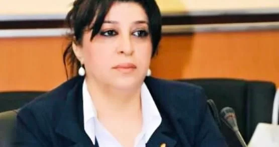 “Polis Günü: Azərbaycanın keşikçiləri haqqında düşüncələr”