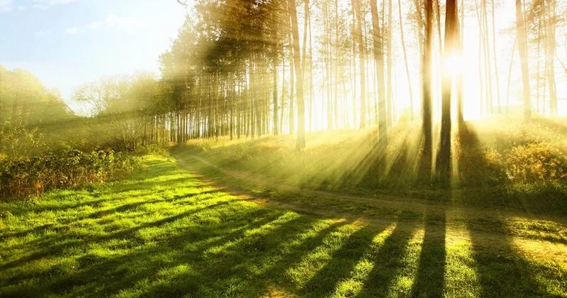 Temperatur ötən ilə görə 3 8 dərəcə aşağı olacaq