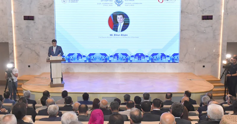 Elnur Əliyev: Yaşıl enerji Azərbaycanın yeni inkişaf baxışının mərkəzində dayanır