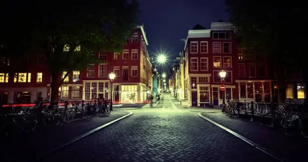 Amsterdamda küçə işıqları böcəkləri yoxa çıxarır