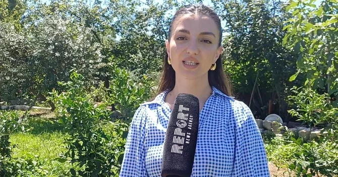 Şəhərdən Kəndə layihəsi çərçivəsində 35 ə yaxın təsərrüfatda sahibkarlara dəstək göstərilib