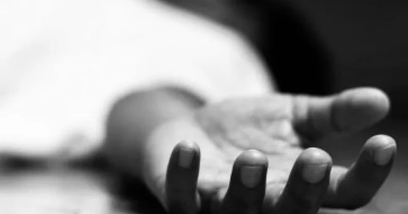 Дело Фатимы Керимовой в Тбилиси. Брошена парнем, убита братом, тревогу забила армянка новые подробности