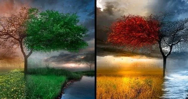 Azərbaycana yaz fəslinin gəlmə vaxtı açıqlandı