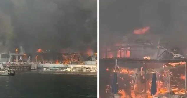 Büyükada Çimərliyində yanğın! Alovlar meşəyə yayılıb