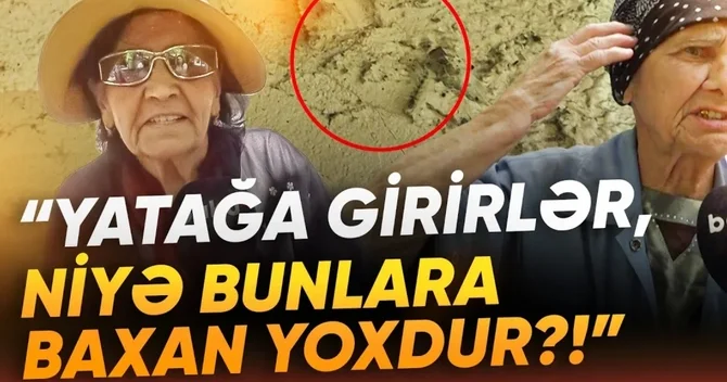 Şəhərdə peyda olanlar sakinləri bezdirdilər