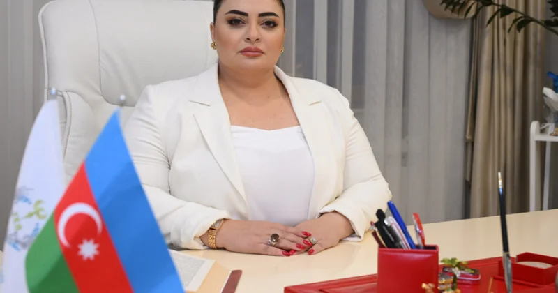 Şəxsi inkişaf və rifah xidmətlərinin mahiyyəti: Digər fəaliyyət sahələrindən fərqləndirən əsas xüsusiyyətlər