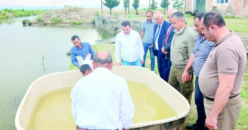 Dəryada balıqçılıq layihələri