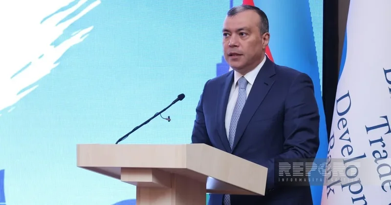 Министр: Финансовые возможности для развития ненефтяного сектора должны быть расширены