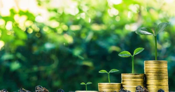 Зеленое кредитование набирает обороты в Азербайджане