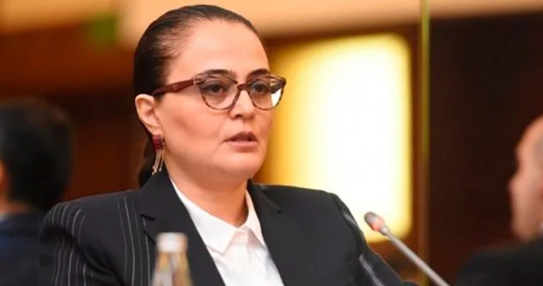 Nazir müavini: Nəriman Həsənzadə Azərbaycan ədəbiyyatının parlaq simalarından biri olub