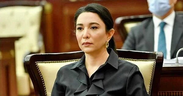 Ombudsmandan beynəlxalq təşkilatlara çağırış...