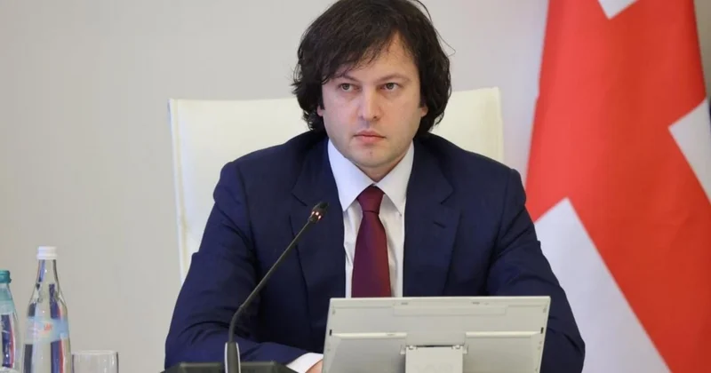 Gürcüstanda dövlət universitetlərində təhsil pulsuz olacaq
