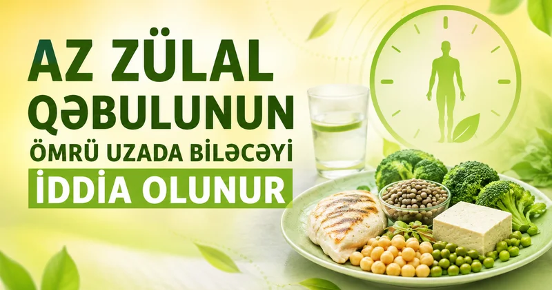 Ömrü uzatmaq üçün boşqabınızdakı zülalı azaltmaq lazımdır?