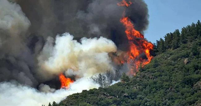 Türkiyədə davam edən meşə yanğınları nəzarətə götürülüb