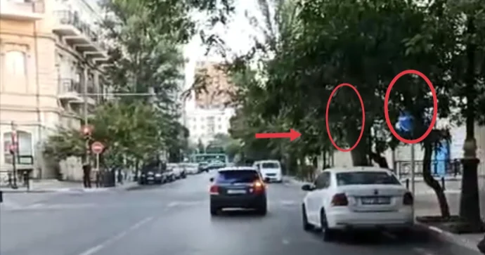 Svetofor və nişanlar ağacın içində gizlənib: Aidiyyəti qurumlar problemə göz yumurlar VİDEO