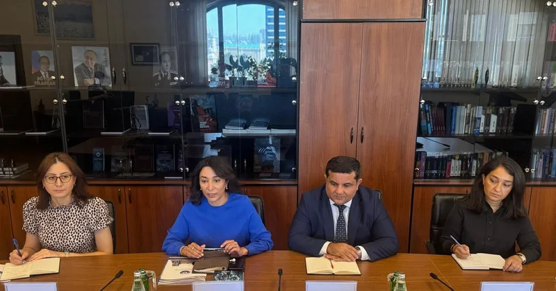 Ombudsman Səbinə Əliyeva professor Ergin Ergül və Mediasiya Şurasının İdarə Heyətinin sədri Nadir Adilovla görüşüb