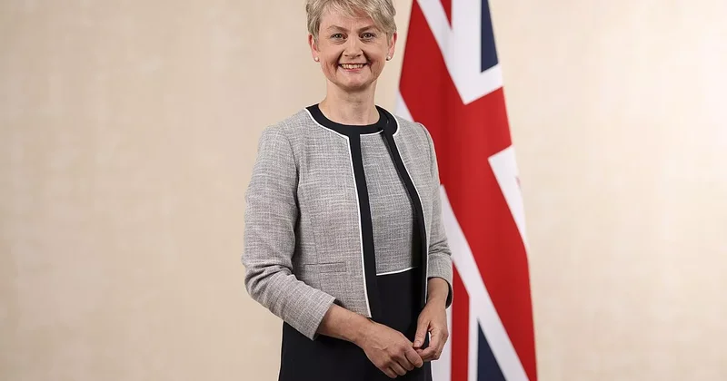 Великобритания продлила программу Ukraine Permission Extension