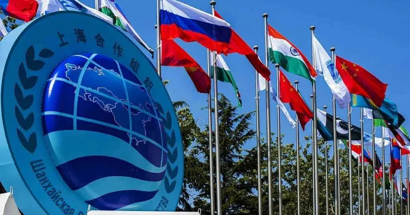 “Hindistan Azərbaycanla Çinin yaxınlaşmasını narahatlıqla izləyir”
