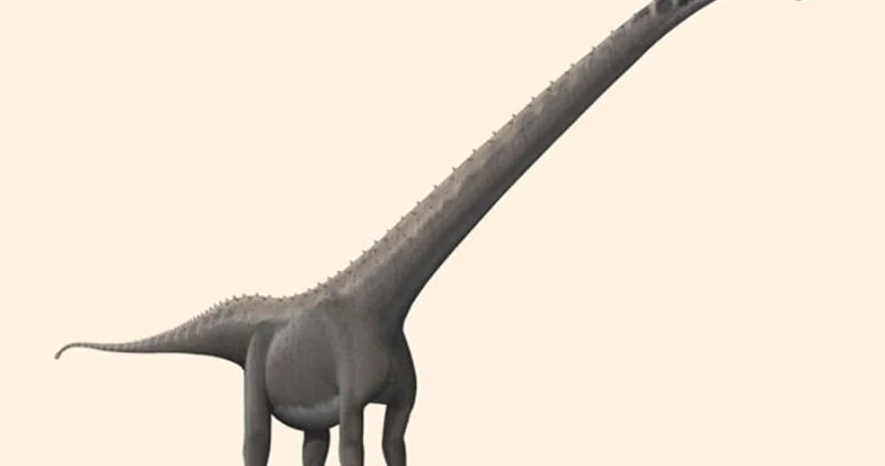 Çində dinozavrların yeni növü aşkar edildi