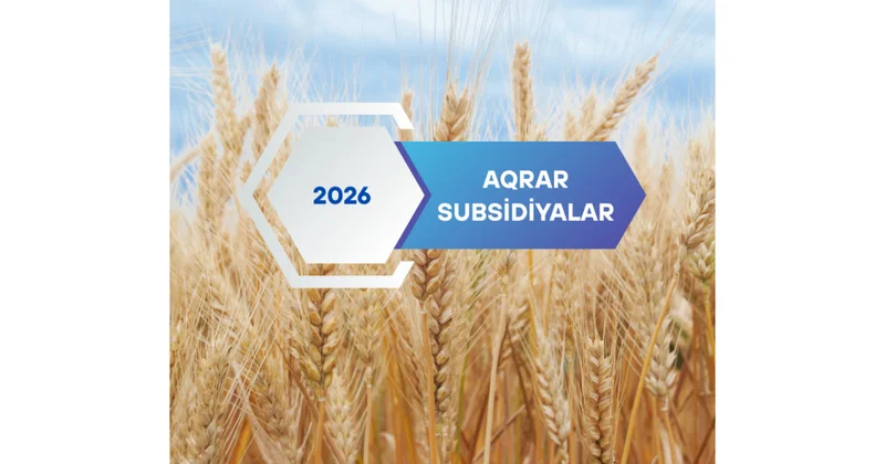 2026 cı il üçün kənd təsərrüfatı subsidiyaları açıqlanıb
