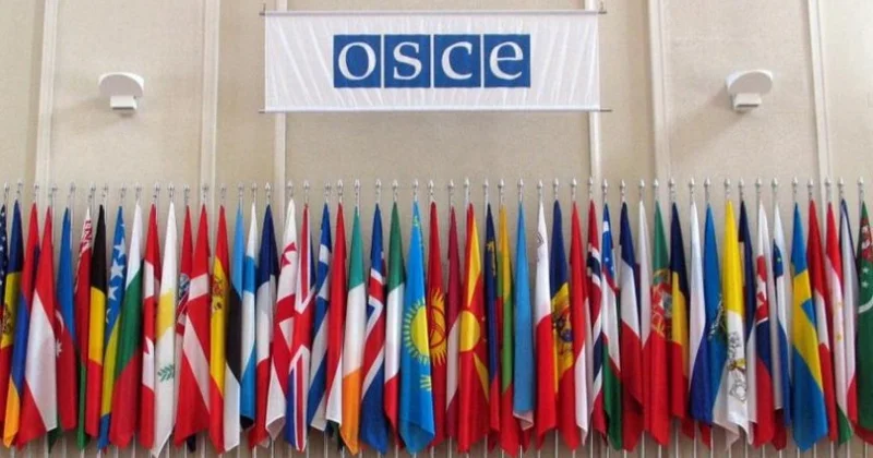 Minsk qrupunun fəaliyyəti zamanla region ölkələrinin iradəsindən çox böyük dövlətlərin maraqlarını əks etdirirdi