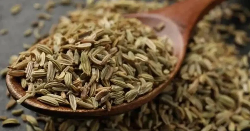 Dünyanın ən sağlam qidası elan edildi