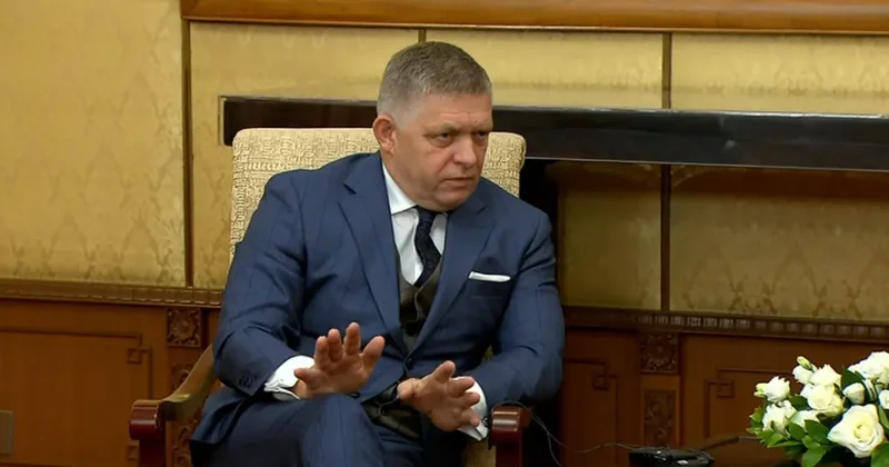 Фицо о ЕС: Мы как жаба на дне колодца