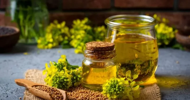 Azərbaycanda duru bitki yağları istehsalı 35 faizdən çox artıb