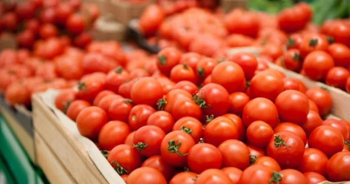 Pomidor bitkisini niyə budamaq lazımdır?