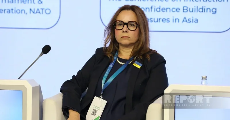 НАТО и Азербайджан могут реализовать новые проекты по разминированию