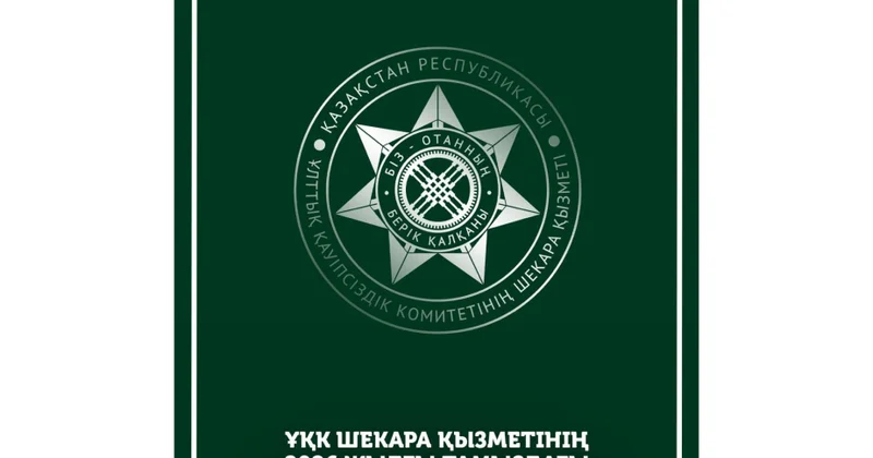 В пограничном пространстве Казахстана за месяц задержали более 4,9 тысячи иностранцев