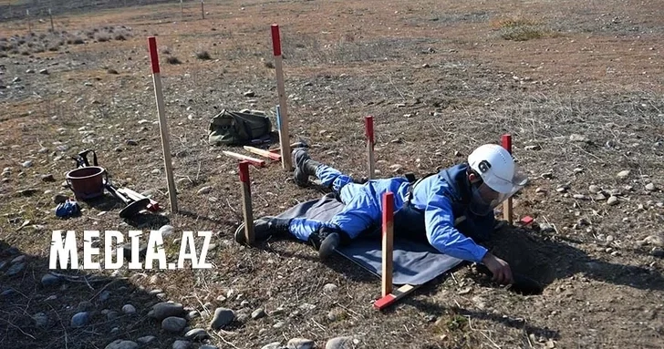 Азербайджан призывает международных партнеров расширить сотрудничество в сфере разминирования