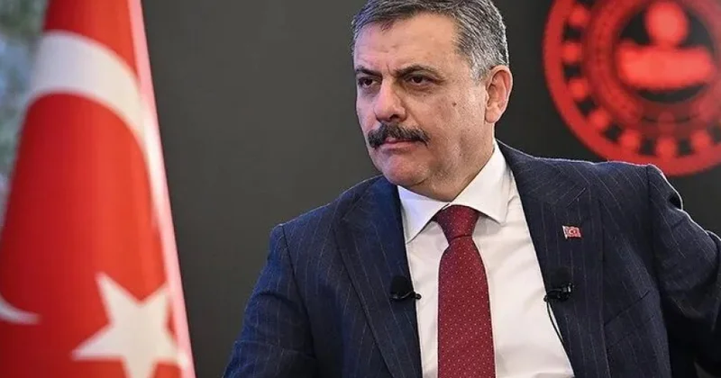 Nazir: Son 7 ayda Gürcüstandan Türkiyəyə 866 cinayətkar ekstradisiya edilib