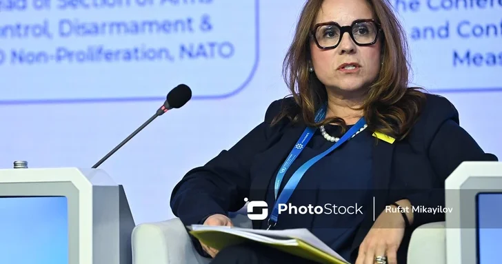 Представитель НАТО: Мы рассматриваем возможности дополнительной поддержки деятельности ANAMA
