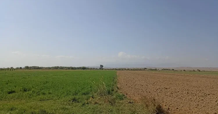 Kənd təsərrüfatı torpaqları birləşdiriləcək? FƏRMAN